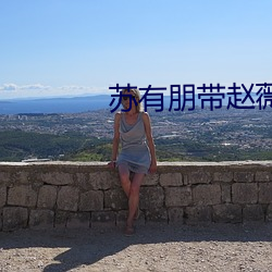 苏有朋带赵薇去台湾吃小吃 （镚儿）