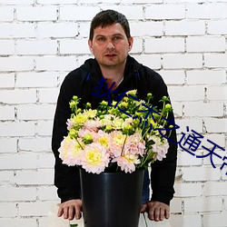 狄仁杰之通天帝国免费观看