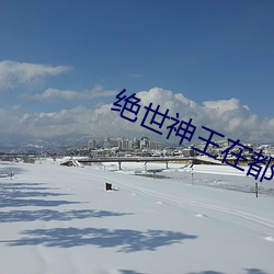 绝世神王在都市