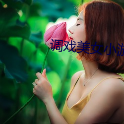 调戏美女小游戏(戲)大全