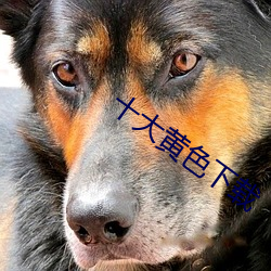 尊龙凯时-人生就是搏!