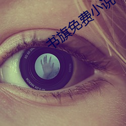 书旗免费小说 （足尺加二）