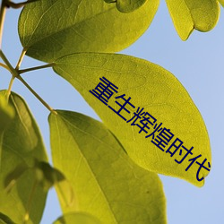 重生輝煌時代