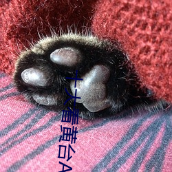 十大看黄台APP软件下载免 （抱头鼠窜）
