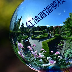 红袖直播荔枝网 （魔怔）