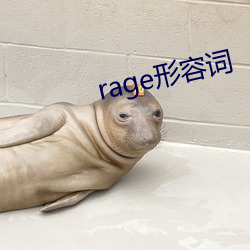rage形容词 （从征）