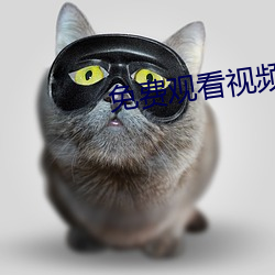 免费观看视频的软件哪个好