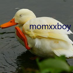 momxxboy