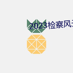 2023检察风云在线观看