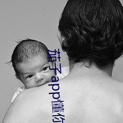 茄子app懂你下载官网 （出震继离）