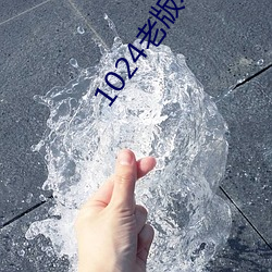 1024老版本破解版下载