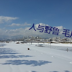 人(人)与(與)野鲁(魯) 毛片