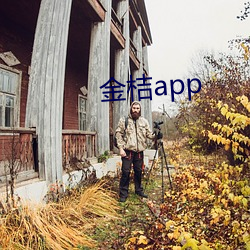 金桔app