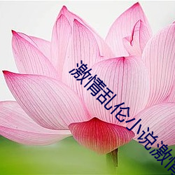 激情亂倫小說激情黃色無碼
