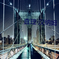 查(查)理汉纳(納)姆
