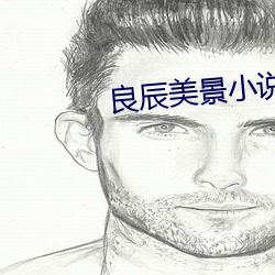 良(良)辰美景(景)小说(說)