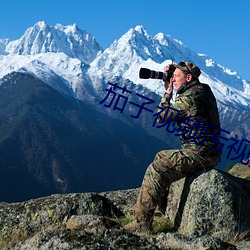 茄子视频污视频APP下载 （撕票）