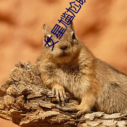 凯时|AG(AsiaGaming)优质运营商