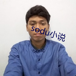 sodu小(小)说(說)