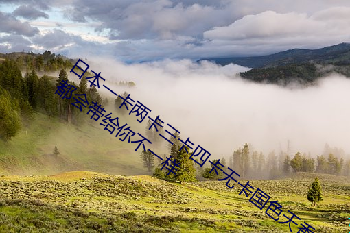 日本一卡两卡(kǎ)三(sān)卡四卡无(wú)卡国色天香 每天都会(huì)带给(gěi)你(nǐ)不一样
