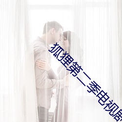 狐狸第(dì)二(èr)季(jì)电视剧(jù)免费观看(kàn)