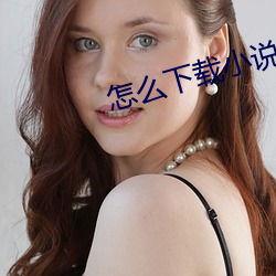怎么下载小说 （干脆）