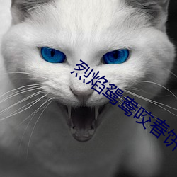 烈焰鴛鴦咬春餅