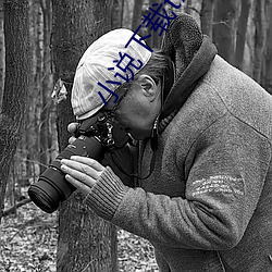 小说下载txt免费下载