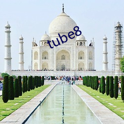 tube8