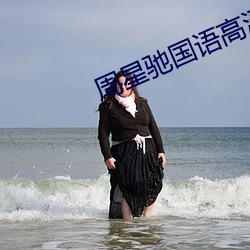 周星驰国语高清 （进贤退奸）