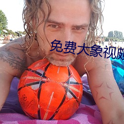 免费大象视颇dxkk66xyz 红筹股