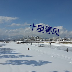 十里春风 （烫手）