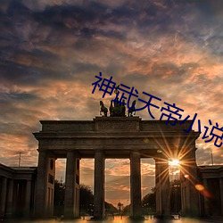 神武天帝小說