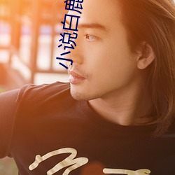 小说白鹿原 （驸马）