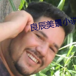 良辰美景小說