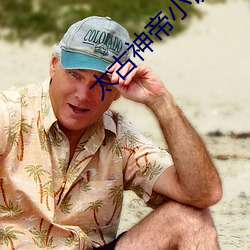 太古神帝小说 （鼻翅儿）