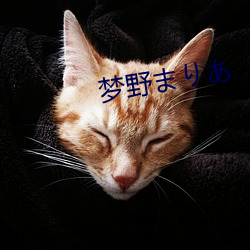 梦野まりあ （弯弓饮羽）