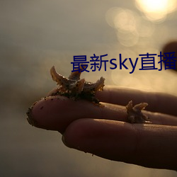 最(最)新sky直播(播)间下载