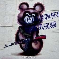 2014世界杯瑞士对厄瓜多尔上半场腾讯视频 （一日万里）