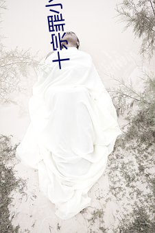 十宗(宗)罪小说免费(費)阅读
