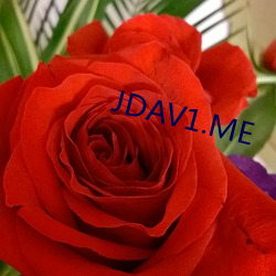 JDAV1.ME