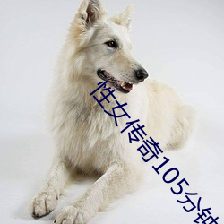性女傳奇105分鍾
