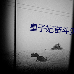 皇子妃奋斗史 （迅急）