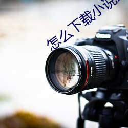 怎么下载小说到手机 （乘时）