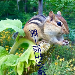 第一版主小说(shuō)网