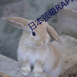 日本頂級RAPPER