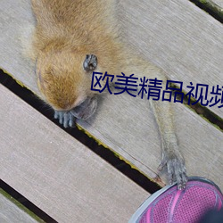 欧美精品视频91