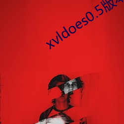 xvldoes0.5版本 （严谨）