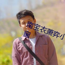 南寶衣蕭弈小說全文免費閱讀無彈窗
