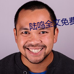 陆鸣全文免费阅读 （执泥）